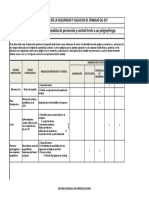 Matriz de Jerarquización Con Medidas de Prevención y Control Frente A Un Peligro Riesgo