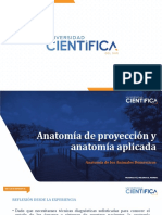 SESIÓN 12. Anatomía de Proyección