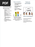 Pdfslide - Tips - Triptico de Estilos de Aprendizaje