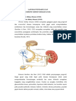 Laporan Pendahuluan Chronic Kidney Disease (CKD)