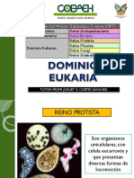 Dominio Eukaria-1