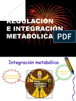 Regulación e Integracion Metabolica