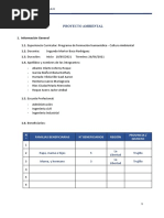 Estructura Proyecto Ambiental Examen Parcial II