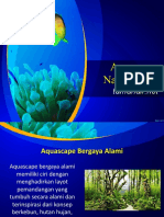 Aquascape Nature Style