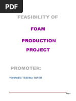 Feasibility Of: Foam Production Project