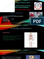 TRAUMATOLOGIA 3 Ro D