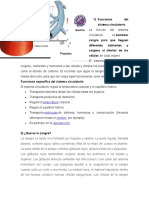 Funciones Del Sistema Circulatorio