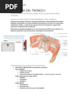 t2.3 Miologia Del Tronco I