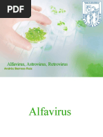 Alfavirus, Retrovirus, Astrovirus 