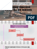 Diapos Administracion Judicial de Bienes