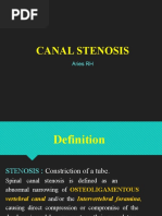 Canal Stenosis - ERH