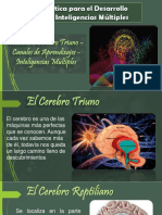 Mòdulo 1. Cerebro Triuno - Canales de Aprendizaje - Inteligencias Mùltiples - Rosmary Marín