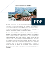 Pesca Indriscriminada