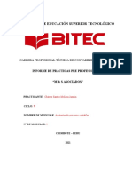 Informe Practicas Pre Profesionales Bitec