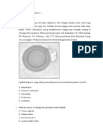 Latihan Soal Utb Blok 4.2