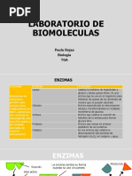 Conclusiones Laboratorio de Biomoléculas