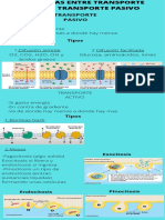 Infografia Hecha en Canva Diferencias Entre Transporte Activo y Transporte Pasivo