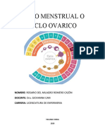 Ciclo Ovarico o Menstrual