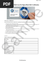 Sample: TÜV SÜD Certified Lean Six Sigma Black Belt Certification