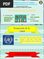 6-Promocion de La Salud