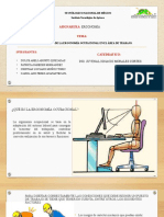 4.2 Ergonomia Ocupacional.