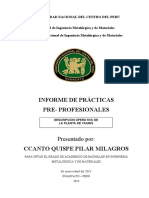 Modelo de Informe de Practicas