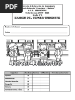 Examen Sexto Grado