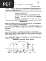 Sistema Digestivo Prueba