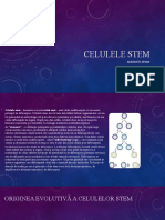 Celulele Stem Proiect