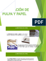 Pulpa y Papel