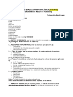 Informe de Evaluacion Psicologica