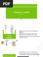 Anatomi Lumbal: Basic Science