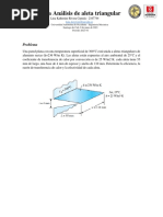 Aleta Triangular Rivera Lina