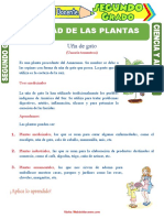 Utilidad de Las Plantas para Segundo Grado de Primaria