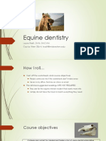 Lecture 5 Equine Dentistry