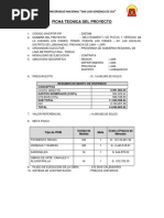 Obra Los Cisnes Infome