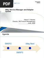 Iway Service Manager and Adapter Update: Naomi T. Klamen Director, SM Product Management June, 2008