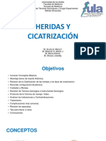 Heridas y Cicatrizacion