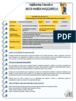 Proyecto 10° Financiera Iip