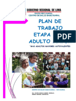 Plan Adulto Mayor Huaral