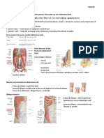 Hubs1105 Abdominal Walls