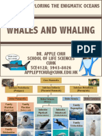 L08 Whales and Whaling