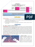 Tercera Actividad Primer Periodo 2021