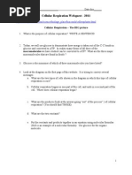 Cellular Respiration Webquest - 2009