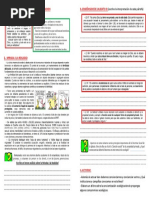 La Ecologia de La Creacion 5°