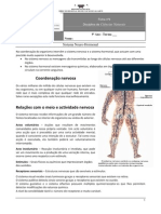 Ficha Nº4 - Sistema Neuro-Hormonal (Informação)