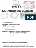 Tema 9 - Metabolismo Celular.