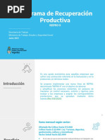 REPRO Programa de Recuperacion Productiva 