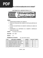 Informe Entrega 1