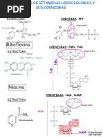 ESTRUCTURAS DE VITAMINAS y COENZIMAS